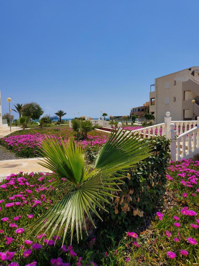 Apartamento Naturista En Primera Linea! ベラ エクステリア 写真